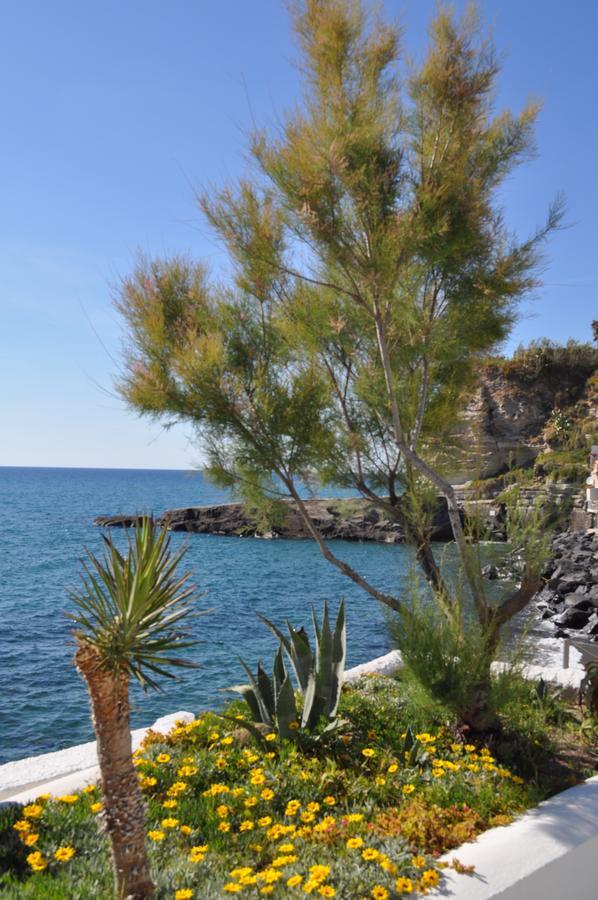 Forio di Ischia La Citarea B&B 외부 사진