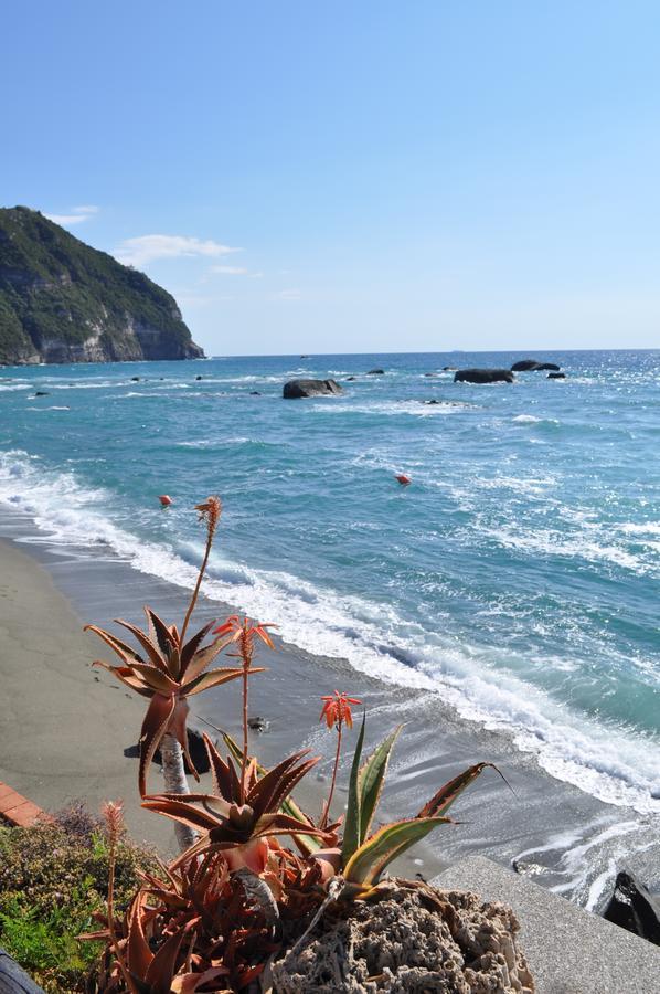 Forio di Ischia La Citarea B&B 외부 사진