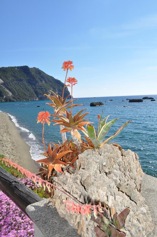 Forio di Ischia La Citarea B&B 외부 사진