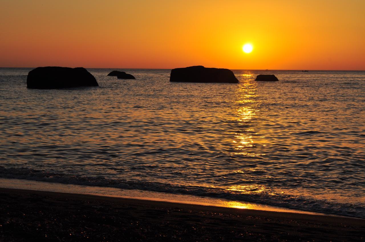 Forio di Ischia La Citarea B&B 외부 사진